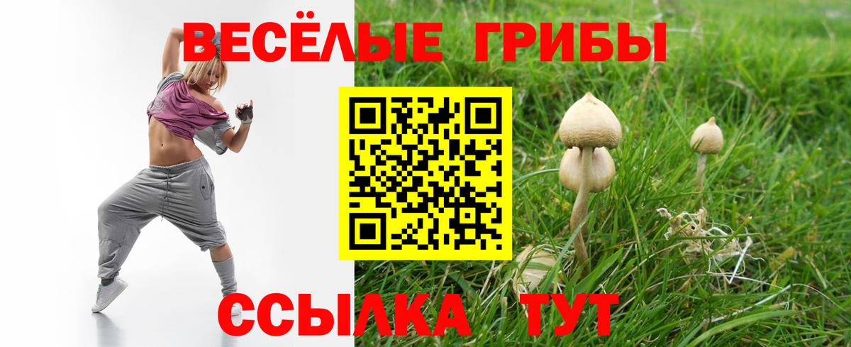 Псилоцибиновые грибы Psilocybe Петропавловск-Камчатский